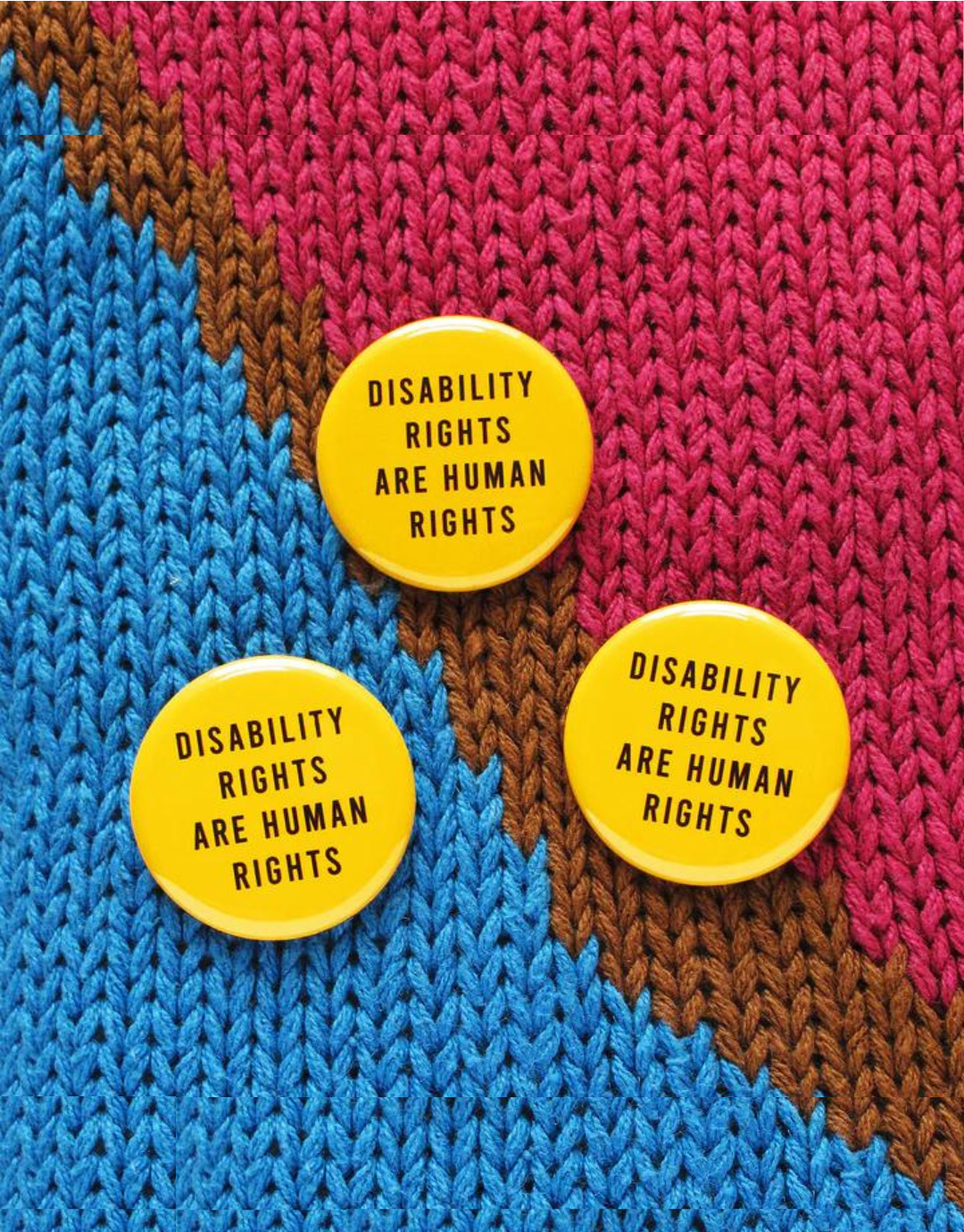 Disability Rights are Human Rights Button